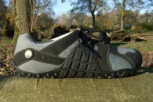 Joe Nimble Wingster Lotuss Protected Joe Nimble Wingster Lotuss Protected