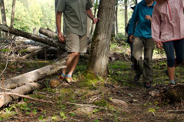 TrailBall - Log jumping TrailBall - Log jumping