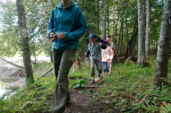 TrailBall - Rooty trails TrailBall - Rooty trails